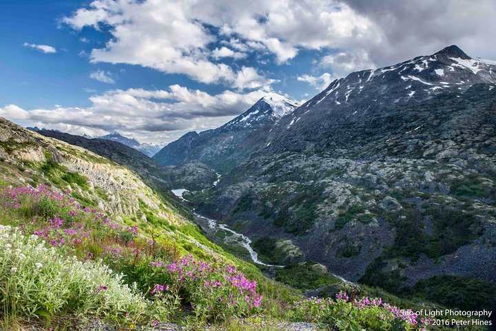 White Pass in Summer